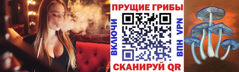 ОМГ ОМГ ссылки  Уфа  Галлюциногенные грибы ЛСД 